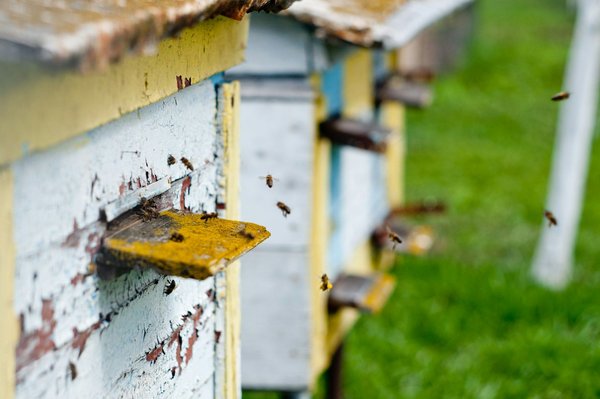Embrace the cold with stylish winter loafers this season